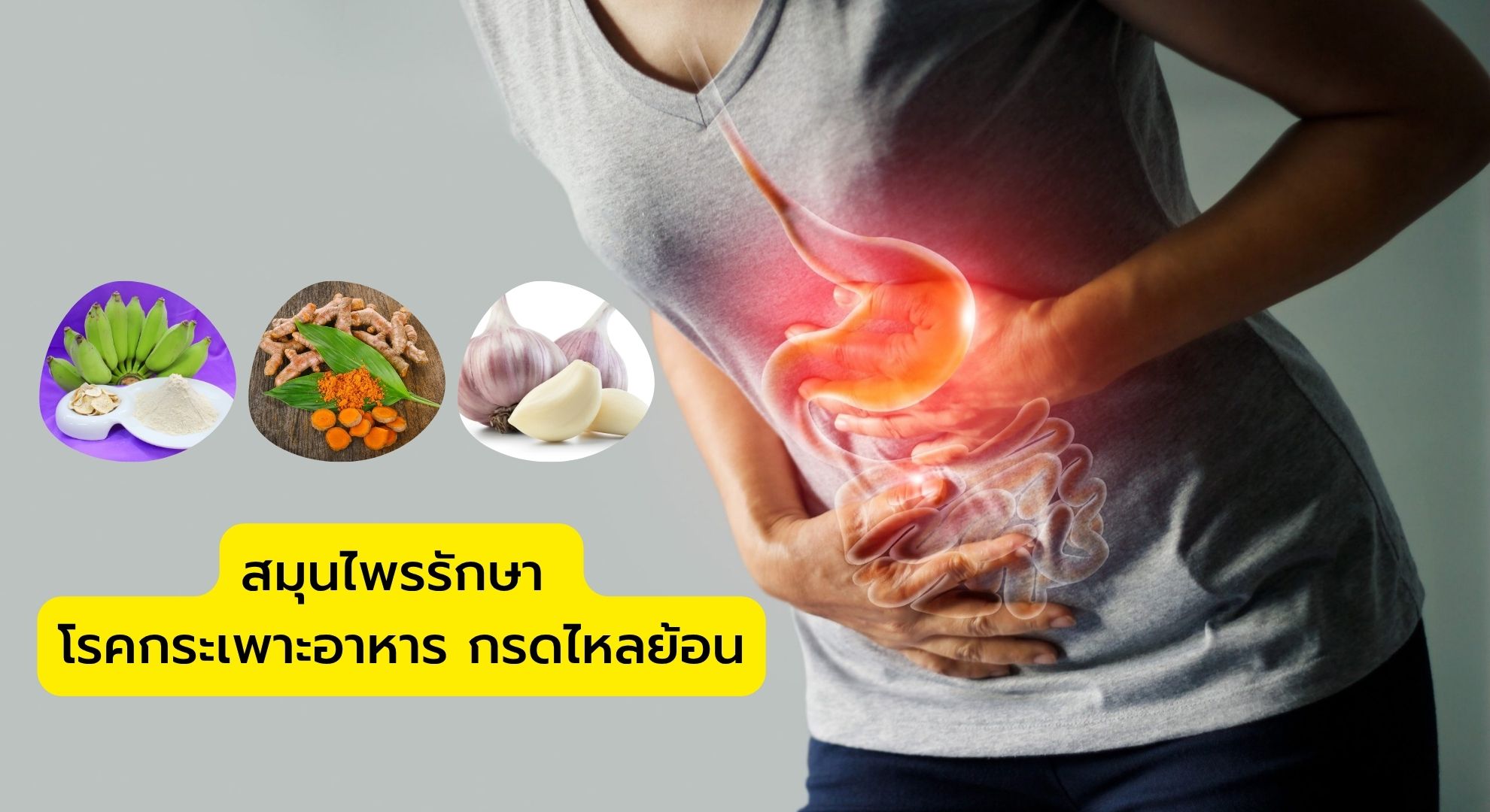 สมุนไพรรักษา โรคกระเพาะอาหาร กรดไหลย้อน