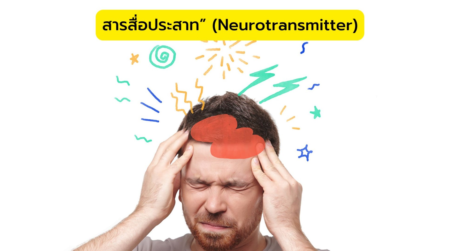 “สารสื่อประสาท” (Neurotransmitter)