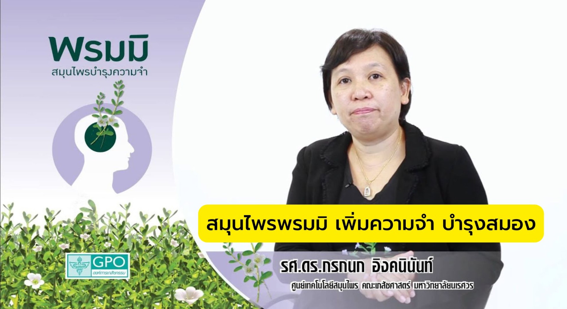 สมุนไพรพรมมิ เพิ่มความจำ บำรุงสมอง