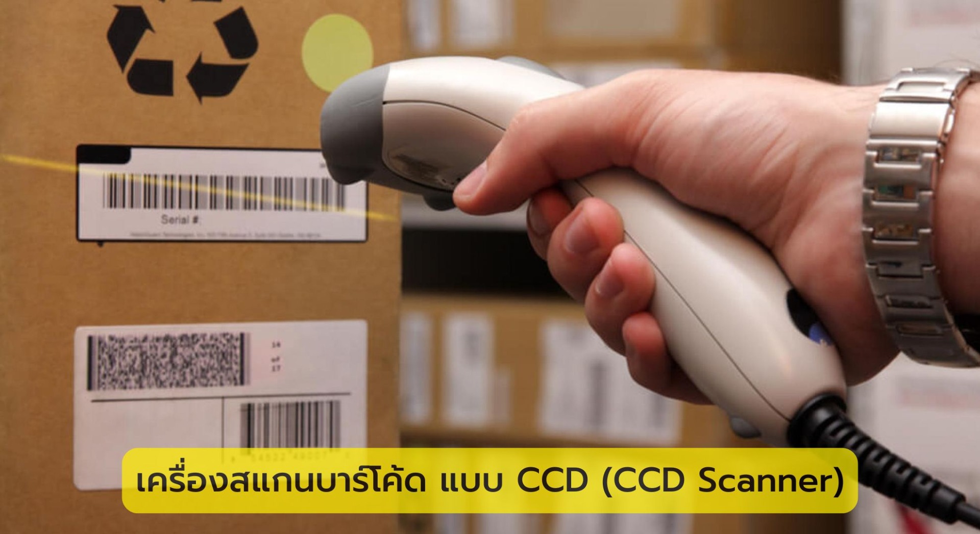 เครื่องสแกนบาร์โค้ด แบบ CCD (CCD Scanner)