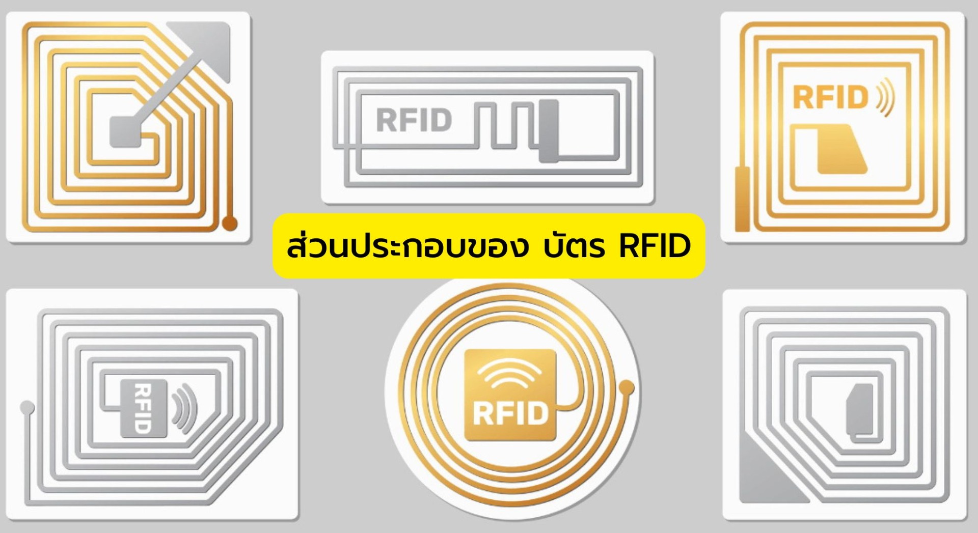 ส่วนประกอบของ บัตรชิปการ์ด