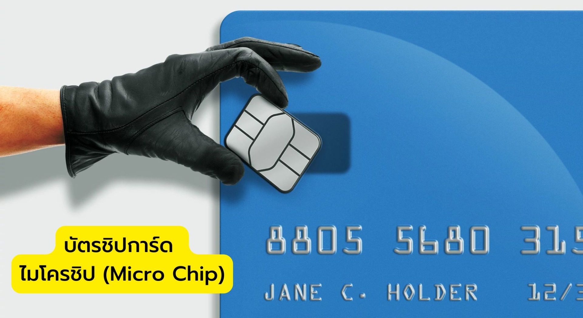 บัตรชิปการ์ด ไมโครชิป (Micro Chip)