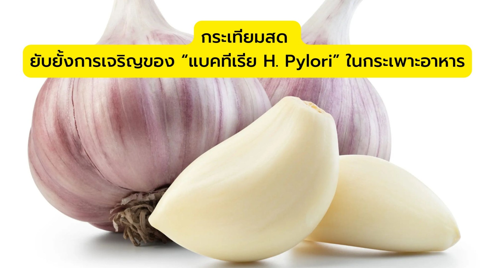 กระเทียมสด รักษาโรคฯ