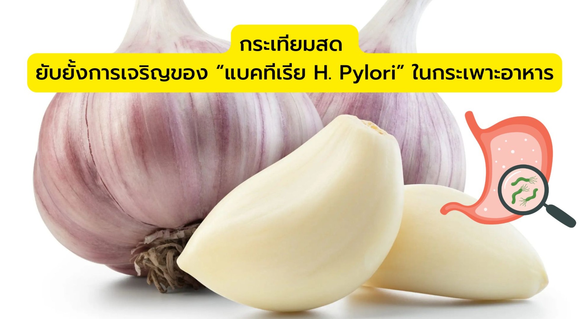 กระเทียมสด ยับยั้งการเจริญของ “แบคทีเรีย H. Pylori” ในกระเพาะอาหาร