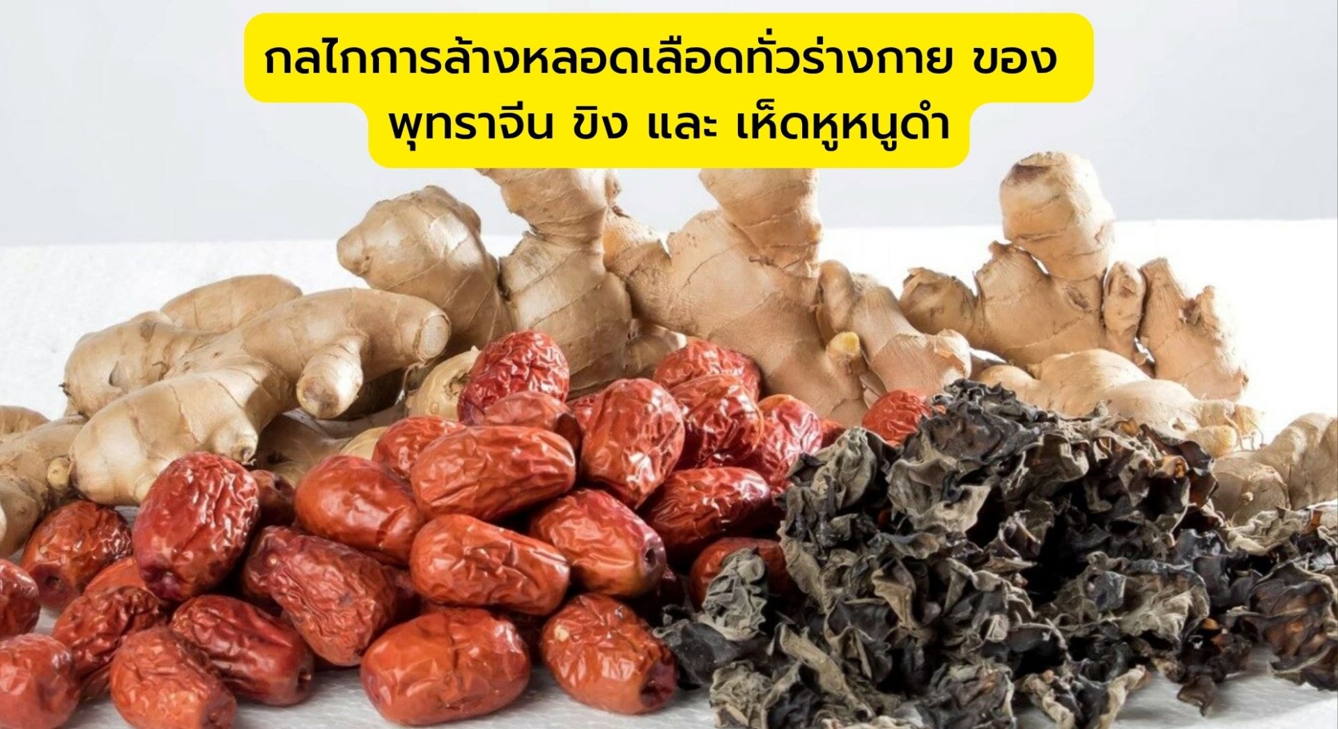 กลไกการล้างหลอดเลือดทั่วร่างกาย ของ พุทราจีน ขิง และ เห็ดหูหนูดำ