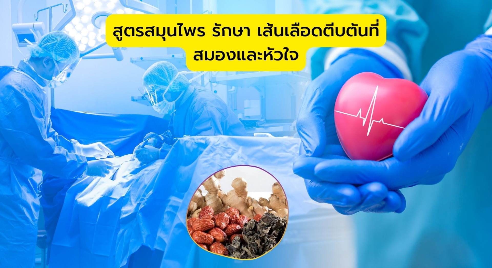สูตรสมุนไพร รักษา เส้นเลือดตีบตันที่ สมองและหัวใจ
